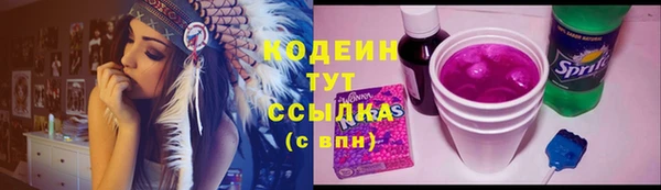 крисы Бугульма