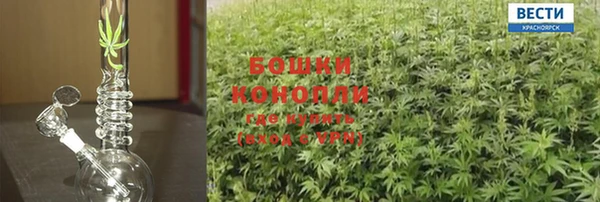 крисы Бугульма