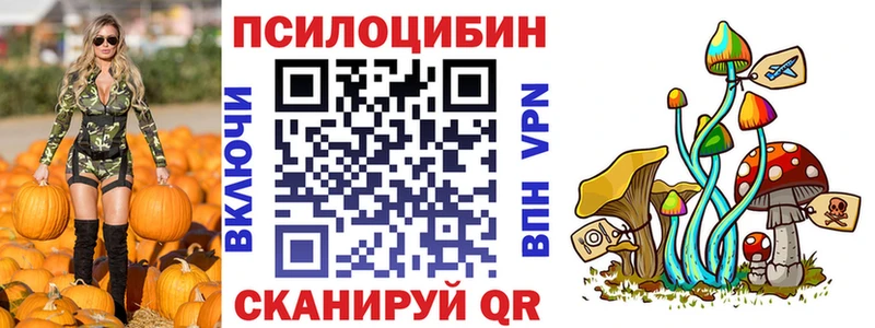 Галлюциногенные грибы Psilocybe  Купить где  Ростов-на-Дону 